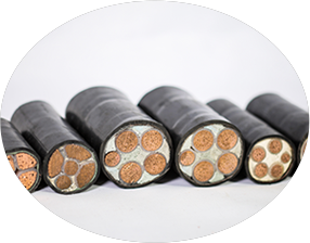 青青草手机在线视频厂家