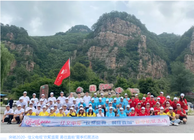 东北青青草手机在线视频