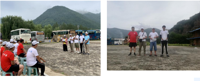 东北青青草手机在线视频