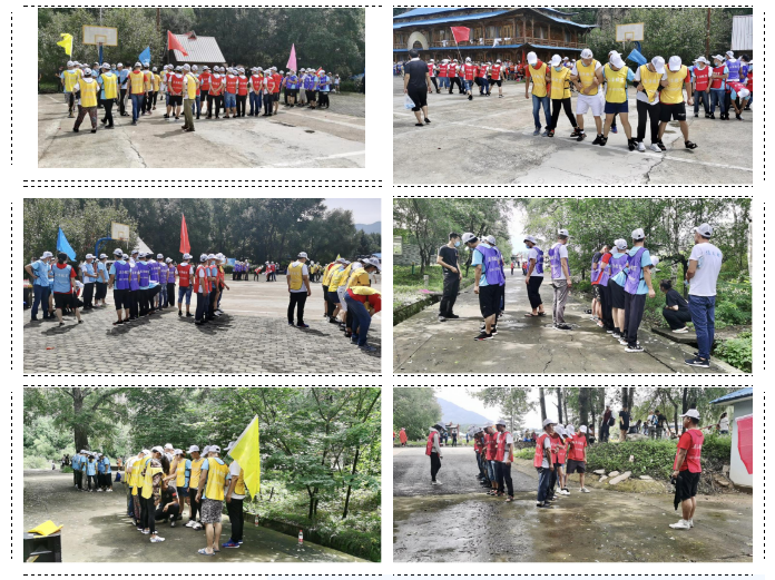 东北青青草手机在线视频